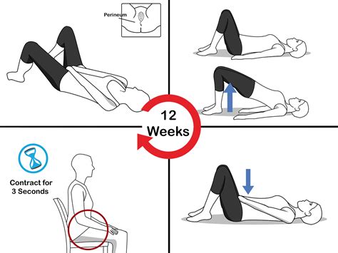 Image 65 of Pelvic Floor Muscles Male Exercise | pjf-jqny5