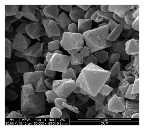 SEM images of iron nitride samples. (a) FN-1, (b) FN-2, (c) FN-3, and... | Download Scientific ...