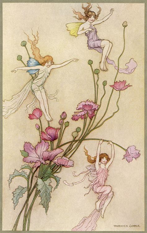 Fairies And Flowers Drawing by Mary Evans Picture Library - Fine Art America