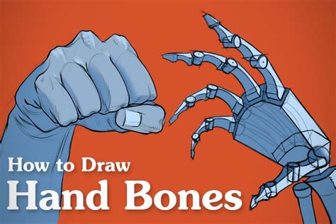 How to Draw Hand Bones – Anatomy for Artists | Hand bone, Hand bone anatomy, How to draw hands
