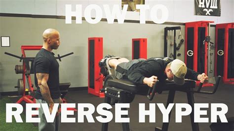 HOW TO USE A REVERSE HYPER - YouTube