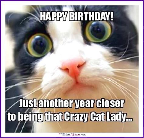 Happy Birthday Memes With Funny Cats, Dogs And Animals