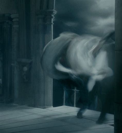Image - Apparition of Harry and Dumbledore.jpg | Harry Potter Wiki ...
