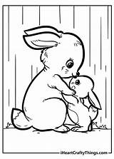 Original And Sweet Rabbit Coloring Pages sketch template