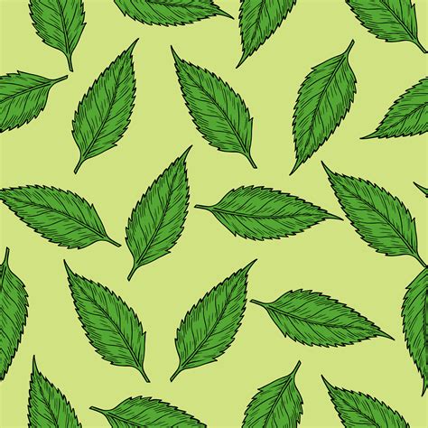 Leaf Patterns Template