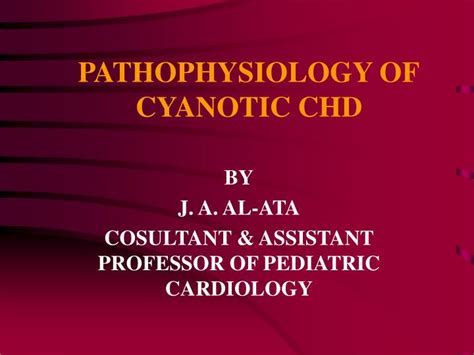 PPT - PATHOPHYSIOLOGY OF CYANOTIC CHD PowerPoint Presentation, free download - ID:3358054