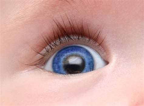 Close up baby eye stock image. Image of open, child, health - 28954003