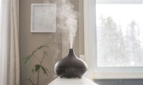 Dogs and Essential Oil Diffusers: Safety Tips You Need to Know