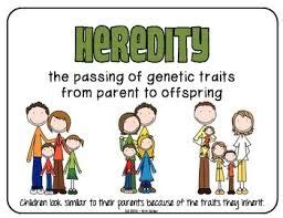 AMEESH NOTES: Role of Heredity and Environment in Individual Differences