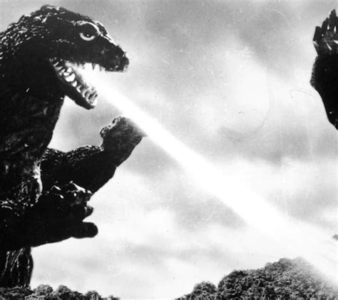 godzilla vs kong – ScreenHub Entertainment