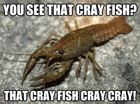 Cray Crayfish memes | quickmeme