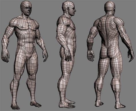 realistic male body 3d max | 3d model character, Topology, Character ...