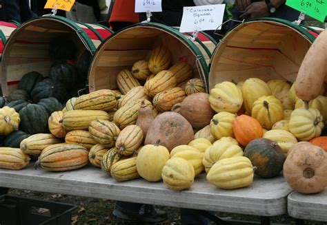 Chicago’s 12 Best Farmers Markets to Visit This Season - Eater