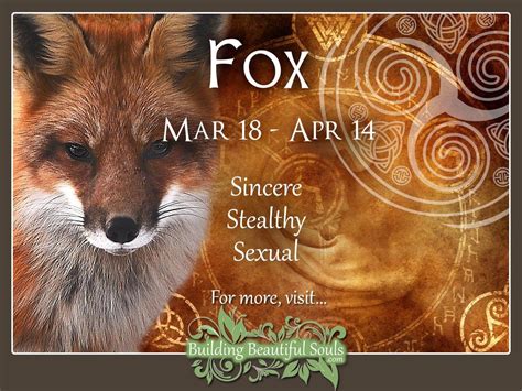 Fox Celtic Zodiac Animal Meanings, Traits, & Personality 1280x960 | Celtic zodiac, Celtic zodiac ...