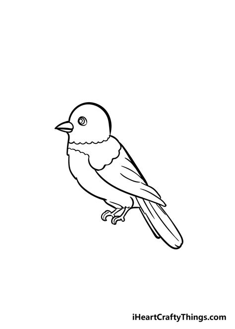 How To Draw A Bird