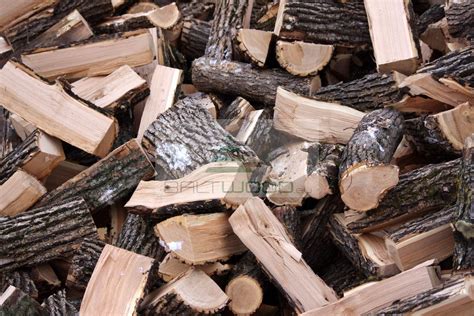 Is Ash Tree Wood Good For Burning at janisrwilson blog