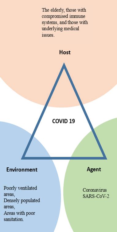 Emerging Disease and the Epidemiology Triangle | Free Essay Examples