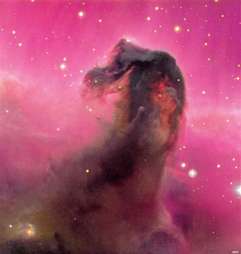 Horsehead Nebula: Well-known Object is Hard to Find | Space