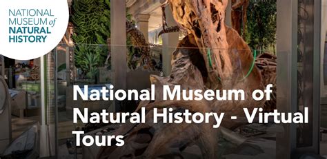 Smithsonian Virtual Tours in 2020 | Virtual tour, Virtual, National museum