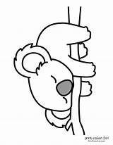 10 Free Cute Koala Coloring Pages At PrintColorFuncom sketch template