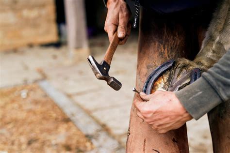 How Much Do Farriers Make? • Horsezz