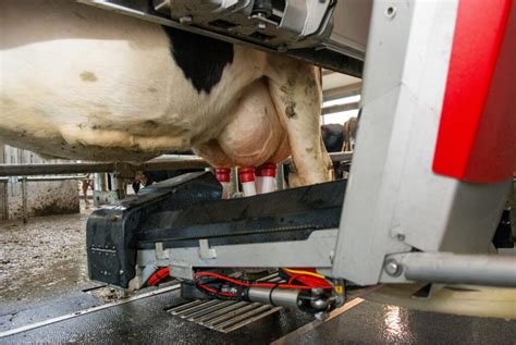 Video: Lely hits major NI robot milestone - Agriland.ie