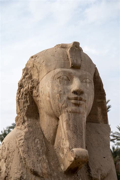 Close Up Photo of a Face of Sphinx Stock Photo - Image of face, travel ...