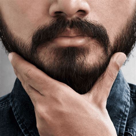 Best Beard Styles for Round Face – Ultimate Guide (2023) - mesomen.com (2023)