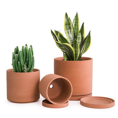 Buy D'vine Dev Terracotta Pots for Plants, 4.2 Inch 5.3 Inch 6.5 Inch, Succulent Planter Pot ...