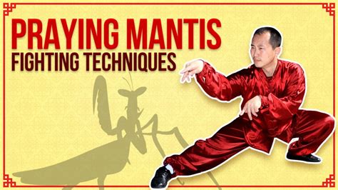 Praying Mantis Kung Fu Training Sequence And Concepts 七星螳螂功夫技法概念 - YouTube