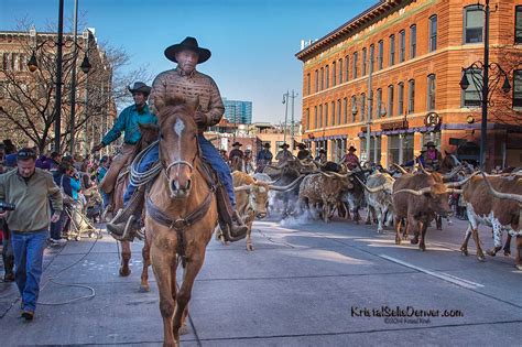 National Western Stock Show Parade | Denver Photo Blog