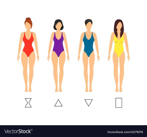 Cartoon female body shape types Royalty Free Vector Image