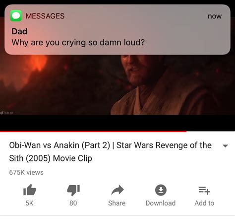 Why are you crying so damn loud? : r/PrequelMemes