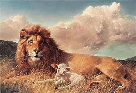 Free download lion of judah lamb of god art print painting picture ...