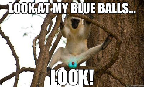 Look at my blue balls... LOOK! - look at these blue balls - quickmeme