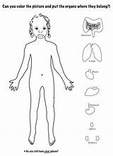 Human body coloring Pages To Download And Print For Free sketch template