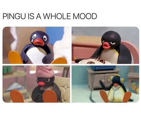 The Best Pingu Memes Daily🐧 on Instagram: “Follow me for more Pingu goodness! } { #pingu # ...