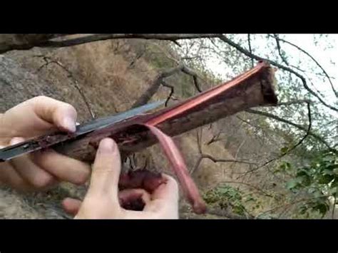 Extracting Mimosa Hostilis Root Bark Guide - YouTube