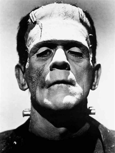 Essential Facts About Frankenstein | Mary Shelley and Frankenstein