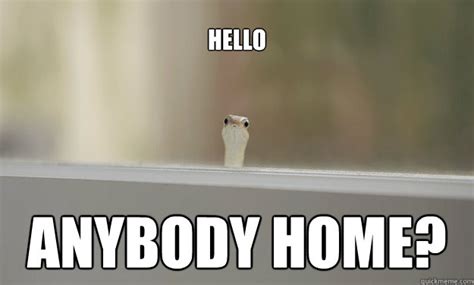 Hello Anybody Home? - Anybody Home - quickmeme