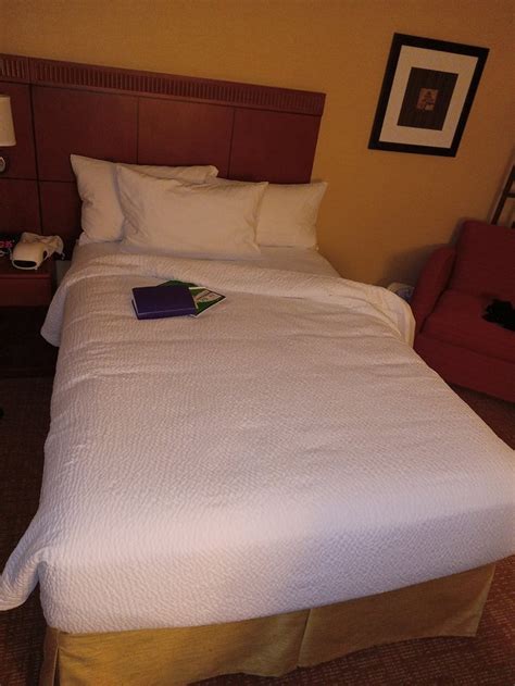 COMFORT INN AND SUITES ARLINGTON HEIGHTS $82 ($̶9̶3̶) - Updated 2024 ...