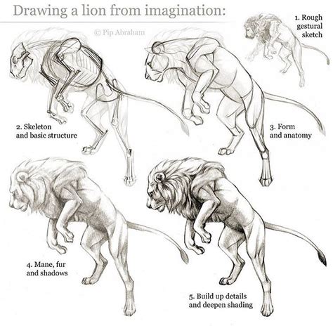 Art Reference & Tutorials on Instagram: “by @pip_abraham !” | Animal sketches, Animal drawings ...