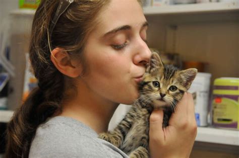 Things to Consider Before Adopting a Cat or Kitten - NHSPCA