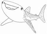 Whale Shark Coloring Pages  coloring Animal sketch template