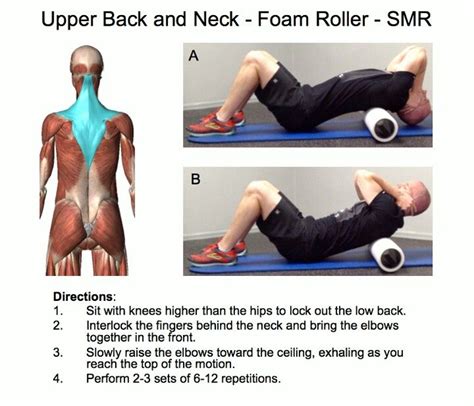 Pin by Christi M on Physical Therapy | Foam roller, Foam roller exercises, Neck exercises