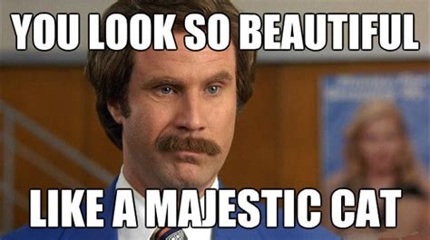 30 You're Beautiful Memes to Express Aesthetic Appreciation