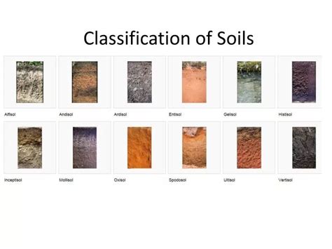 PPT - Classification of Soils PowerPoint Presentation, free download - ID:2358639