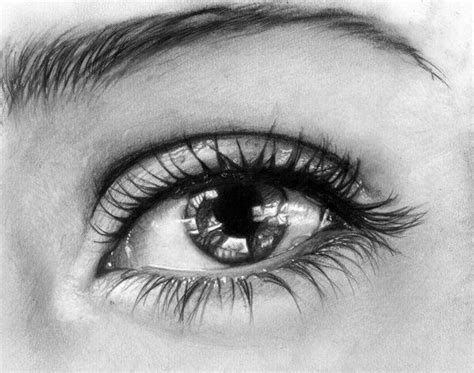 the detail is so beautiful | Realistic drawings, Eye pencil drawing, Realistic pencil drawings