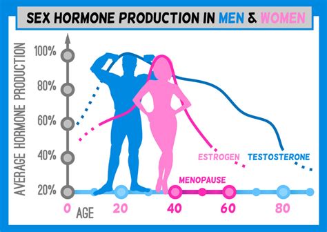 CBD and Balancing Hormones - Dutch CBD Farmers