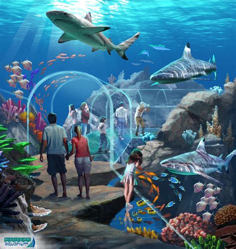 The New Mississippi Aquarium Is Set To Open In April 2020